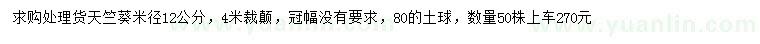 求購米徑12公分天竺葵
