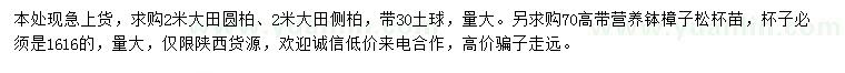 求購圓柏、側(cè)柏、樟子松