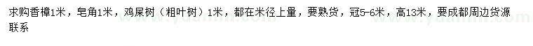 求購香樟、皂角、粗葉樹