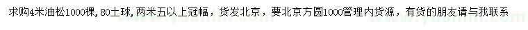 求購4米油松