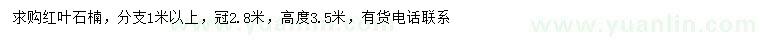 求購冠幅2.8米紅葉石楠