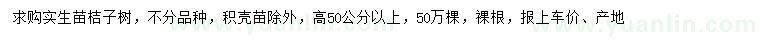 求購高50公分以上桔子樹