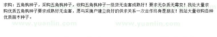 求購五角楓種子