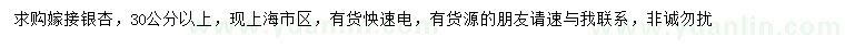 求購30公分以上嫁接銀杏