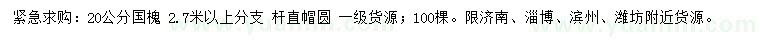 求購(gòu)20公分國(guó)槐