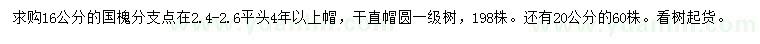 求購16、20公分國槐