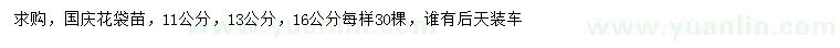 求購11、13、16公分國慶花袋苗