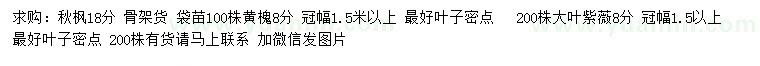 求購秋楓、黃槐、大葉紫薇