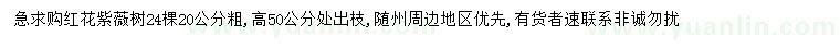 求購20公分紅花紫薇