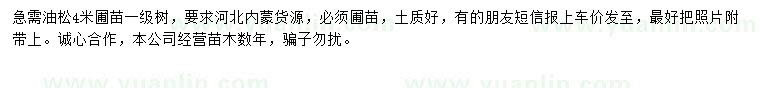 求購(gòu)4米油松