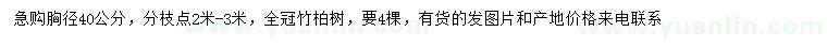 求購胸徑40公分全冠竹柏
