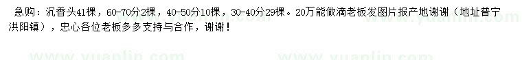 求購30-40、40-50、60-70公分沉香