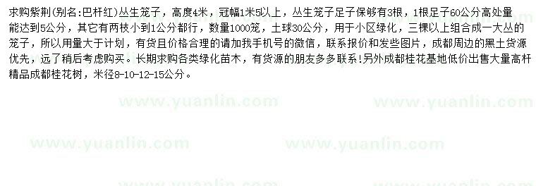 求購(gòu)米徑8-10-12-15公分紫荊