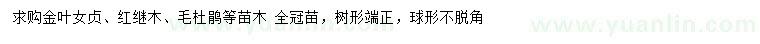 求購(gòu)金葉女貞、紅繼木、毛杜鵑