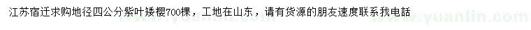 求購地徑4公分紫葉矮櫻