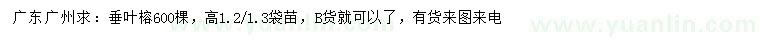 求購垂葉榕