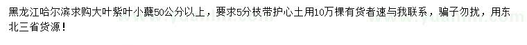 求購50公分以上大葉紫葉小檗