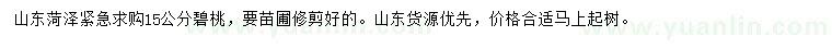 求購15公分碧桃