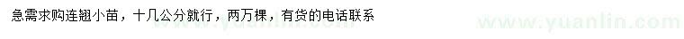 求購(gòu)連翹小苗