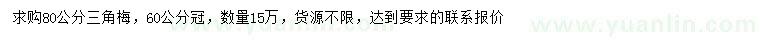 求購80公分三角梅