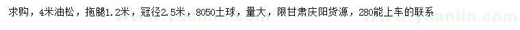 求購(gòu)4米油松