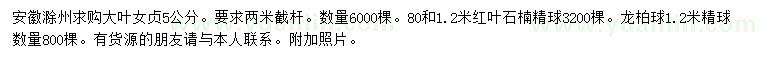 求購(gòu)大葉女貞、紅葉石楠球、龍柏球