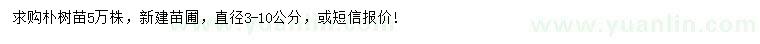 求購直徑3-10公分樸樹