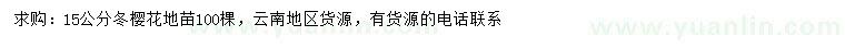 求購(gòu)4公分冬櫻花