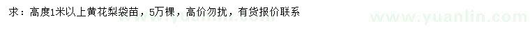 求購高1米以上黃花梨