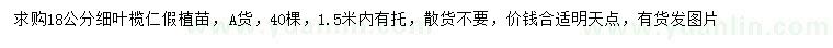 求購18公分細葉欖仁假植苗