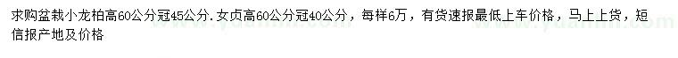 求購(gòu)高60公分小龍柏、女貞