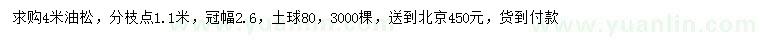 求購4米油松
