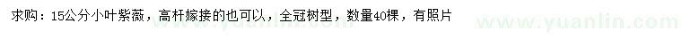 求購15公分小葉紫薇