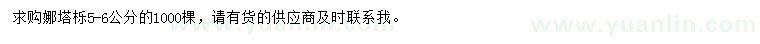 求購(gòu)5-6公分娜塔櫟