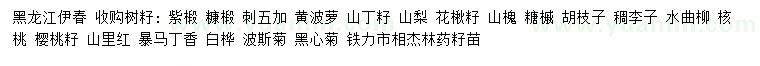 求購紫椴、糠椴、刺五加等