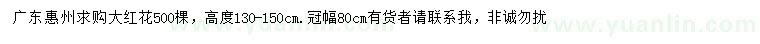 求購高130-150公分大紅花