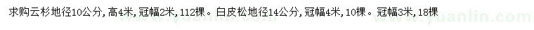 求購地徑10公分云杉、14公分白皮松