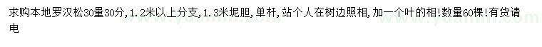 求購(gòu)30量30公分羅漢松