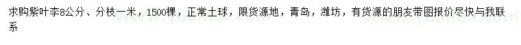 求購8公分紫葉李