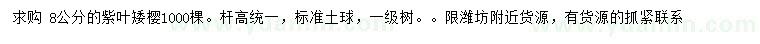 求購8公分紫葉矮櫻
