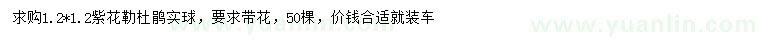 求購1.2*1.2紫花勒杜鵑