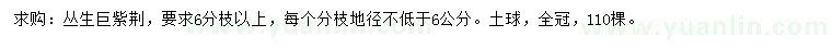求購6分枝以上叢生巨紫荊
