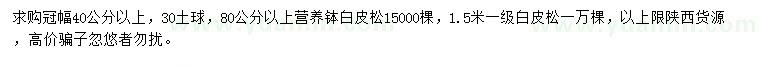 求購(gòu)高80公分以上、1.5米白皮松
