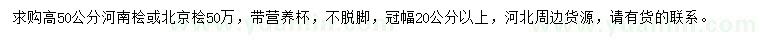 求購高50公分河南檜或北京檜
