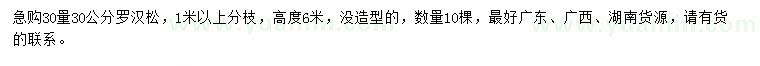 求購30量30公分羅漢松