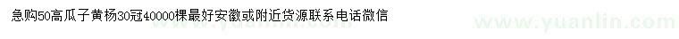 求購高50公分瓜子黃楊