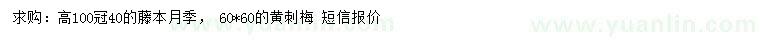 求購高100公分藤本月季、 60*60黃刺梅