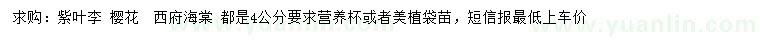 求購紫葉李、櫻花、西府海棠