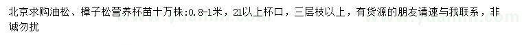 求購(gòu)0.8-1米油松、樟子松