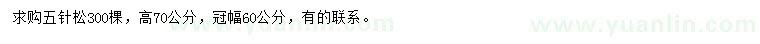 求購(gòu)高70公分五針?biāo)? />
                        <br />
                        <label style=